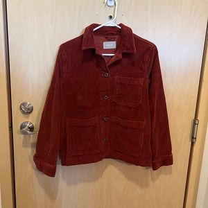 everlane corduroy jacket